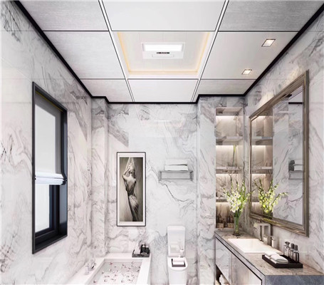 衛(wèi)生間吊頂實例