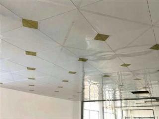 哪個廠的鋁扣板比較好-鋁扣板和塑鋼板哪個好