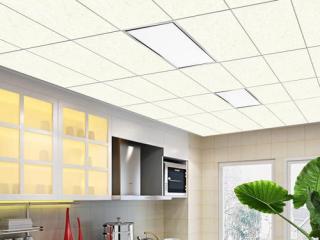 浴室集成吊頂插頭-佛山集成吊頂廠家