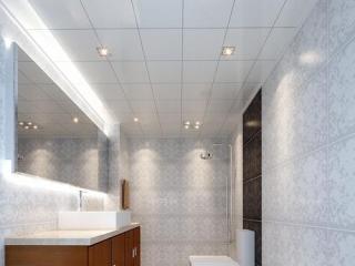 荷花圖片集成吊頂