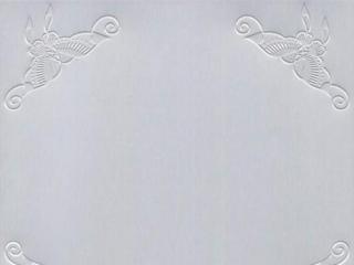 鋁扣板天花款式-佛山鋁天花廠家教你怎么選