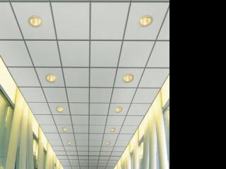 鋁質(zhì)天花鋁扣板-鋁質(zhì)天花板那種好