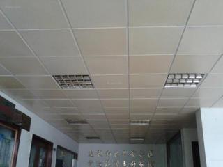 鋁扣板吊頂裝圖解-客廳裝鋁扣板吊頂好看嗎