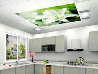 廚衛(wèi)鋁扣板吊頂規(guī)格-廣東廚衛(wèi)鋁扣板廠家之廚衛(wèi)吊頂清潔怎么做